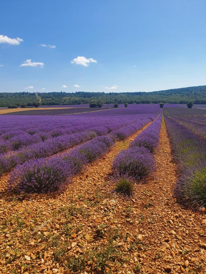 A Ventoux Yourte Monieux Exterior photo
