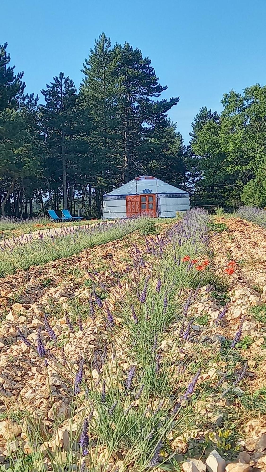 A Ventoux Yourte Monieux Exterior photo